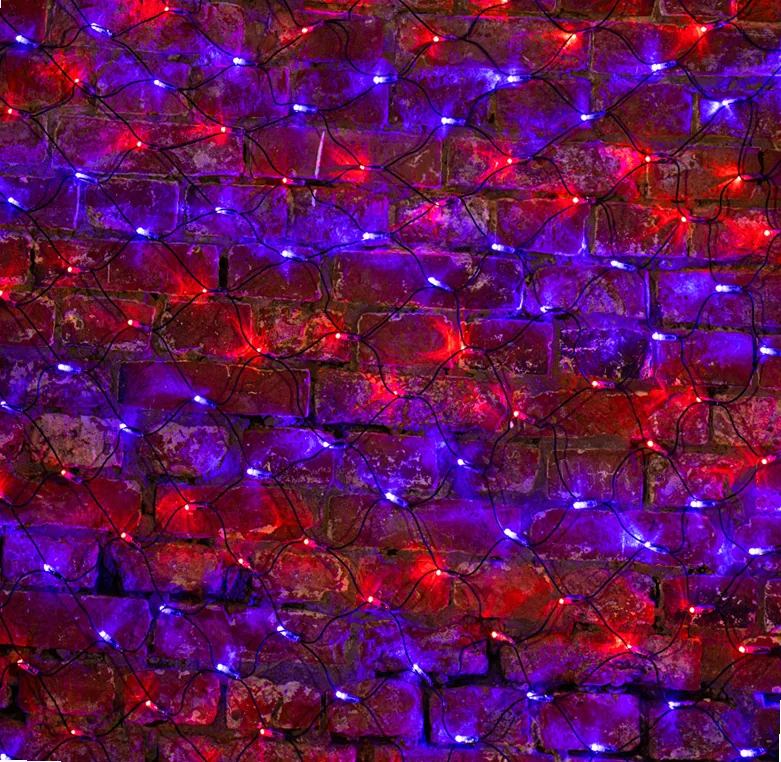 Гирлянда светодиодная Сеть 2х1,5м 288 LED КРАСНЫЙ/СИНИЙ черный ПВХ IP65 свечение с динамикой 230В контроллер в комплекте NEON-NIGHT